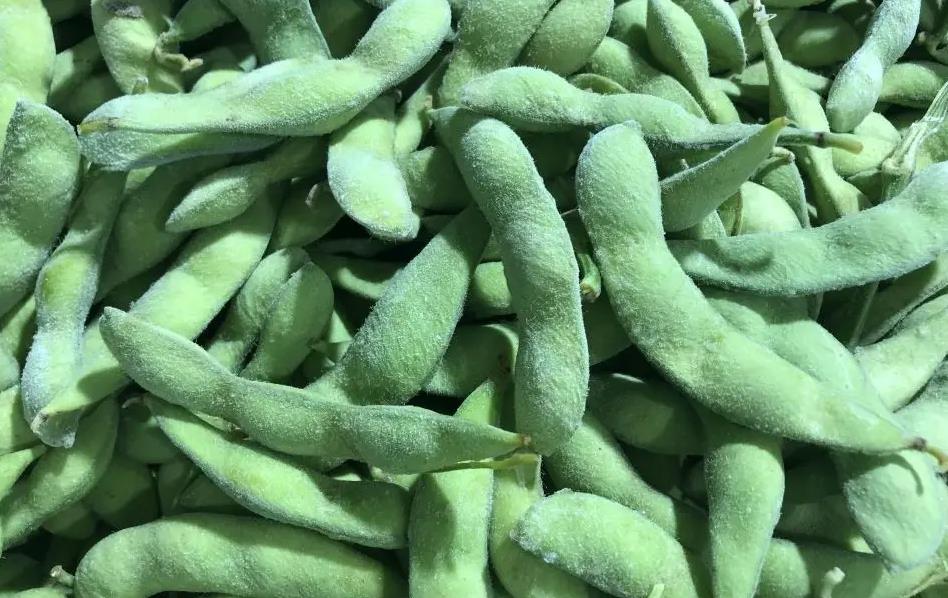 速冻毛豆加工需注意以下关键设备和流程
